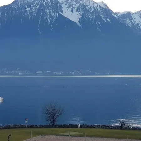 Rose Lake View