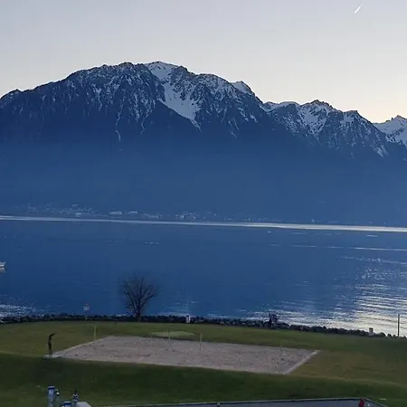 Rose Lake View